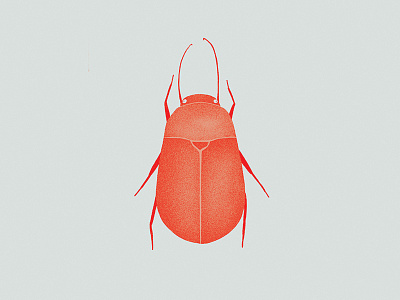 30/350000 beetles bugs digital illustration illustration insects photoshop poster print