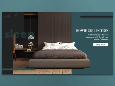 eCommerce Site desktop ecommerce ui ux
