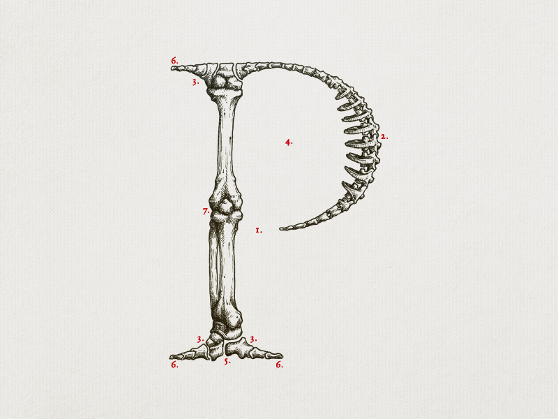 GC Letter of the day alphabet animation drawing handmade letter letters logo stopmotion type type design typography writeup