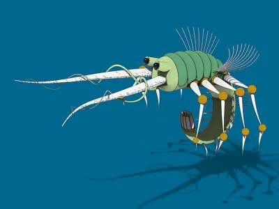 Fantastic Creature (5) 3d art concept design fantasy illustration imaginary insect surreal toon