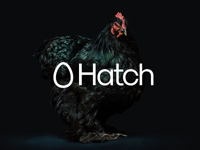 Hatch (Work in Progress) branding egg icon identity logomark wip
