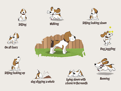 Poses Board animal character illustration
