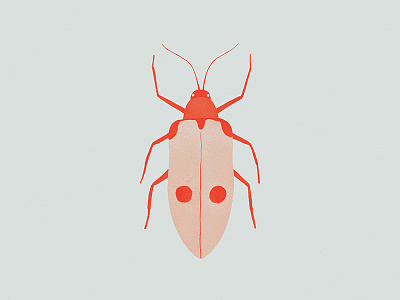 30/350000 beetles bugs digital illustration illustration insects photoshop poster print