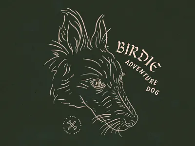 Birdie Adventure Dog adventure dog illustration