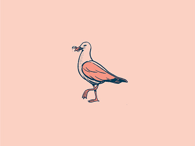 Winged Rat beach bird gold coast retro seagull surf