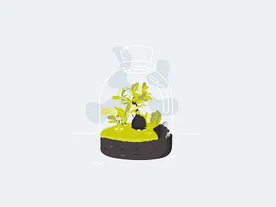 Terrarium - 02 bottle green illustration illustrator leaf plant terrarium