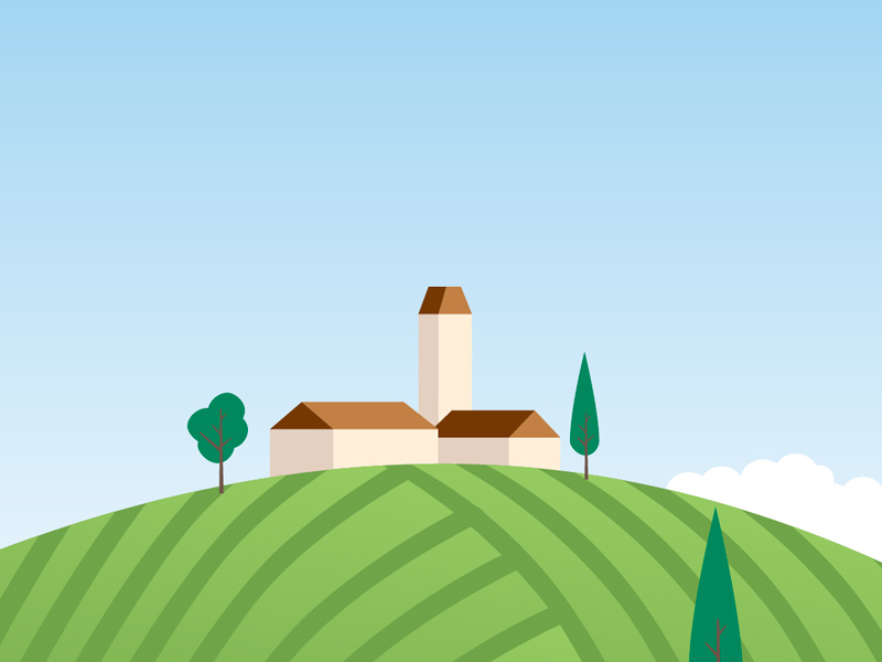 Example of Vineyard — From field to cellar infographic