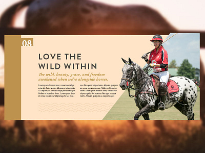 Horse web interfaces animals digital horse model polo stable ui ux web website wild