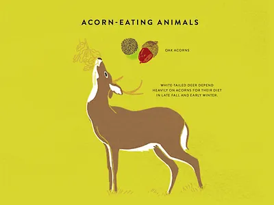 Deer animal deer drawing illustration trees