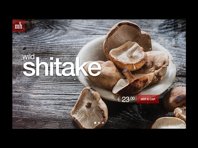 Mushroom Hunters food header landing ui ux