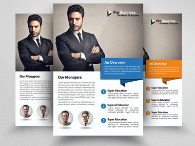 Business Solutions Consultant Flyer business business flyer clean company