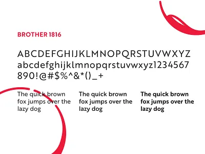 Cater Spice: Typeface branding cater delivery food logo online catering spice