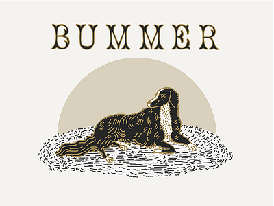 Bummer the Dog black bummer cream dog gold illustration sunset