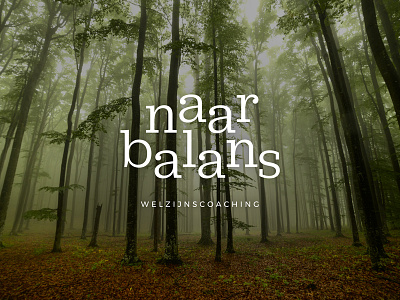 Naar balans logo branding coaching identity logo progress serif type typography visual identity