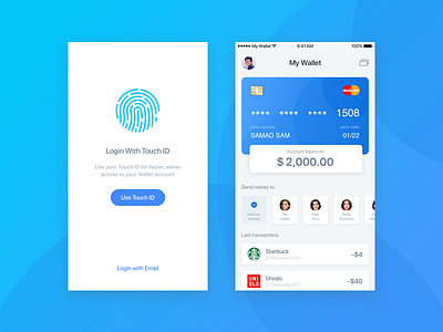 My Wallet app clean finance ios login money mywallet touchid ui userinterface ux wallet