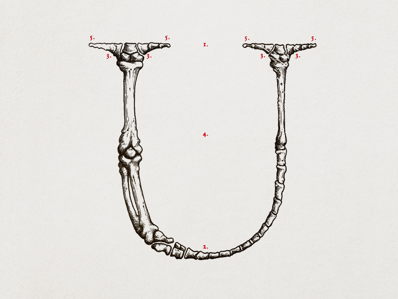 GC Letter of the day alphabet animation drawing handmade letter letters logo stopmotion type type design typography writeup