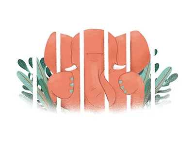 Paradise animal chris dream elephant gigstore paradise pink rock t shirt tee tshirt