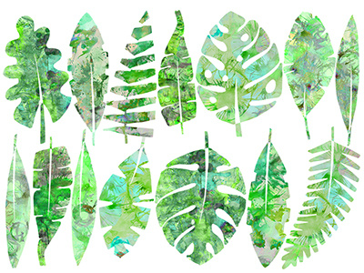 14 tropical leaves with watercolor botanical exotic green leaves nature tropical watercolor