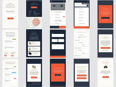 Christmas Bird Count App bird watching non profit product research ui ux wip