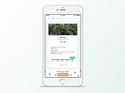 Plant care app app design designer digital graphic icons plants ui user experience user interface ux