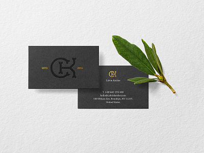 Business Cards Mockup Premade Scene branding bundle businesscard download identity letterhead logo mockup plant psd stationery template