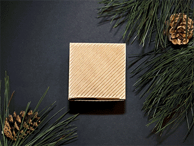 Merry Christmas & Happy New Year agence creative darencurtis merrychristmas newyear stopmotion