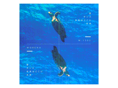 breathe clean design house minimal motion motiongraphics music ocean video