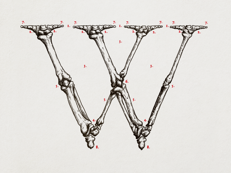 GC Letter of the day alphabet animation drawing handmade letter letters logo stopmotion type type design typography writeup