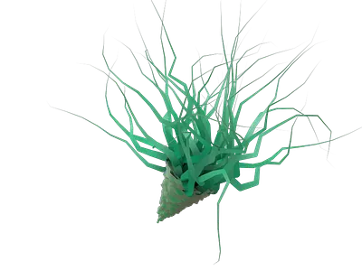 Air plant magic 3d airplant c4d leaf plant vines