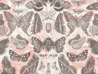 Butterfly Texture butterfly pattern pink psychedelic swirls