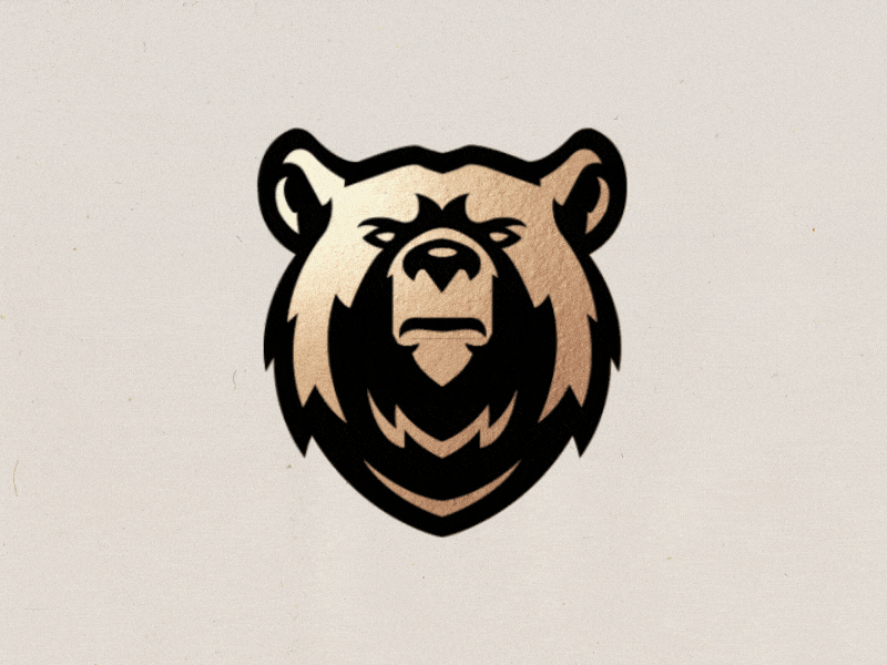 BEAR aftereffects animation bears c4d logo logoanimation maya motiondesign motiongraphics type