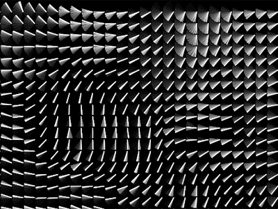 .flow flowfield minimal nature of code physics processing