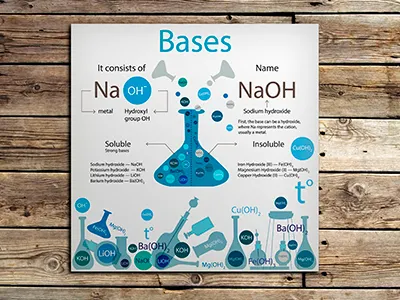 Poster Bases science