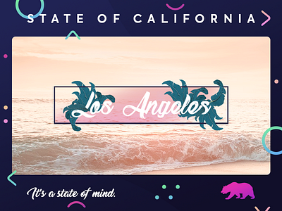 Los Angeles bear cali california los angeles palm sunset united states