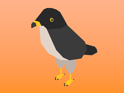 Raven 3d bird illustration low poly lowpoly raven