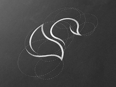 Swan logo process geometric golden ratio logo swan