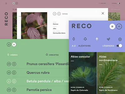 Learning tool botany learning plants site tool web webdesign website