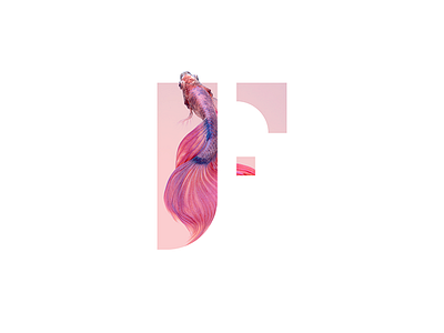 Focus Factory logo with textures agency branding consulting freelance marketing red studio vietnam