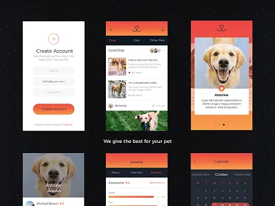 Aupet app interaction logo pets ux
