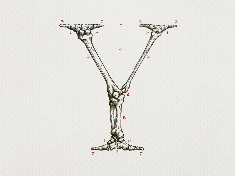 GC Letter of the day alphabet animation drawing handmade letter letters logo stopmotion type type design typography writeup
