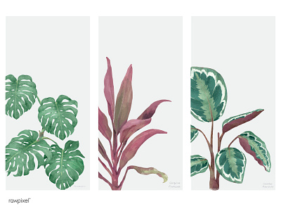 Leaf 3 botanical floral green illustration leaf nature painting plant