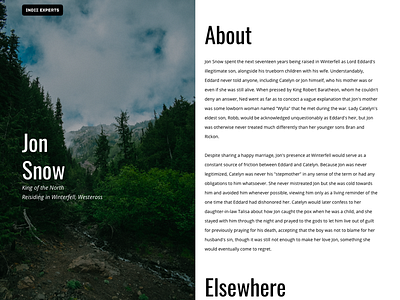 Indie Experts Profile indiexperts profile