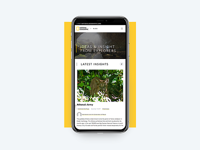 National Geographic | Blog blog branding content design exploration mobile responsive science tablet web