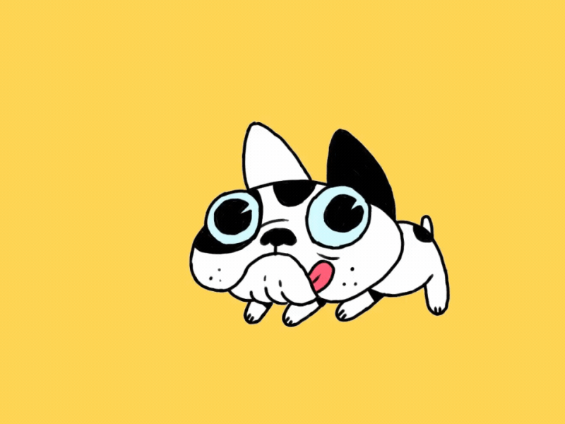 Bacon jumping 2d animation cel animation french bulldog motion graphics