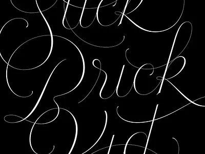 Tis the Season home alone 2 suck brick kid