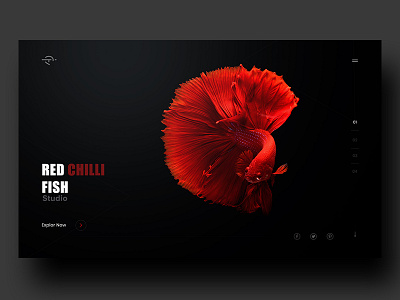 Exploration _ 01 clean design layout minimal portfolio profile simple template typography webdesign website zihad