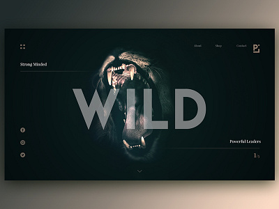 Wild Web Design concept design interactive lion mobile motion powerful strong ui ux web