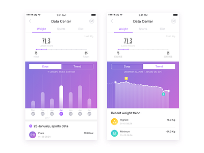 Data Center datauiweight record