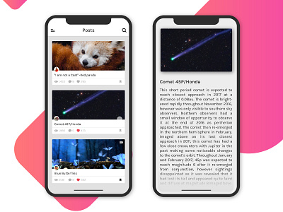 Blog Post blog post concept design interface mobile ui ux