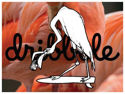 Mingos Drink Beer Too beer black white flamingo illustration party pink